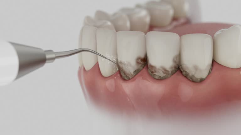 Reliable Dental contractor in Neah Bay, WA by Dentist Open Now